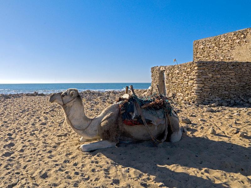 Villa Maroc Szavíra Kültér fotó